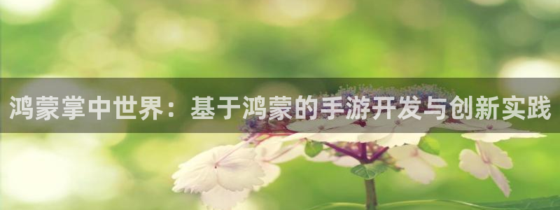 28大神专业版官网