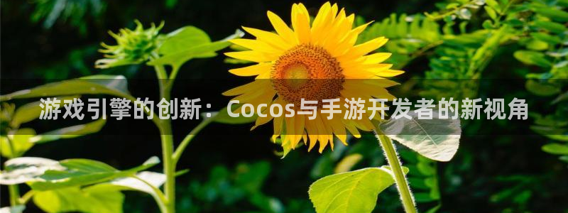 大神28论坛算法