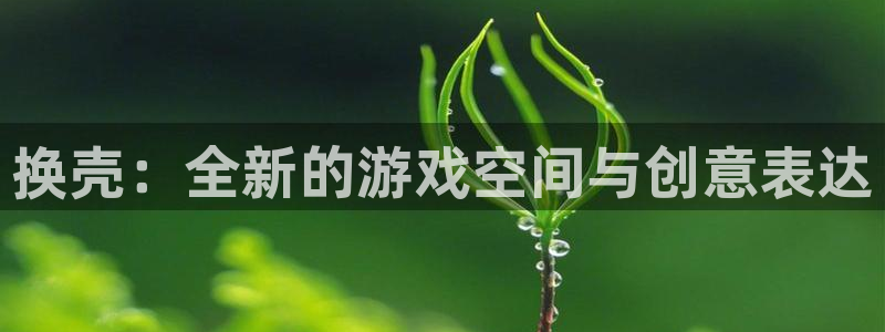 大神28