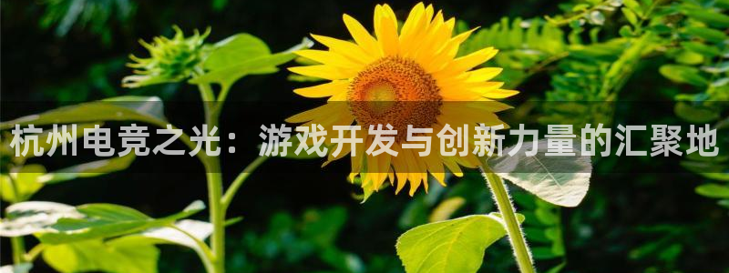 大神28间隔数据