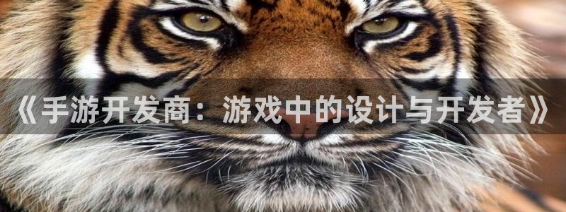 大神28预测在线预测专业28：《手游开发商：游戏中的设计与开