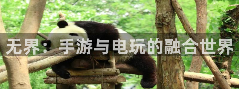 28大神加拿大在线预测网站