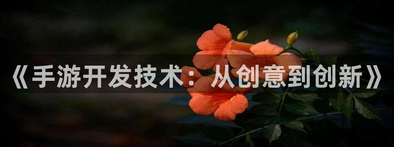 28大神app下载页面：《手游开发技术：从创意到创新》
