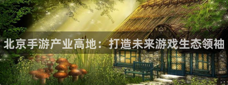 28加拿大大神下载
