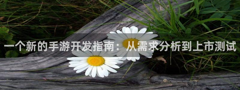 28大神加拿大在线预测：一个新的手游开发指南：从需求分析到上