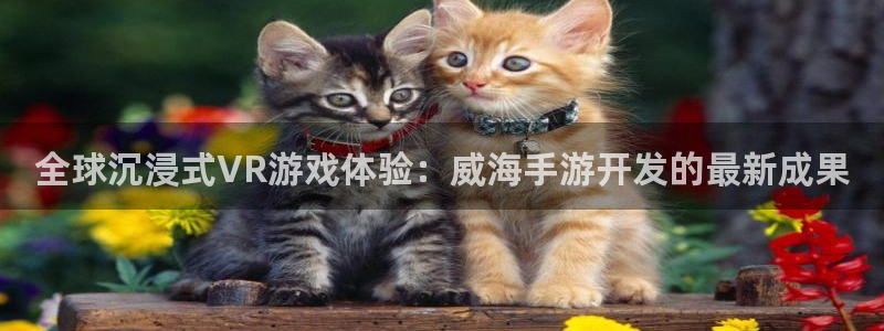 28大神预测软件北京：全球沉浸式VR游戏体验：威海手游开发的