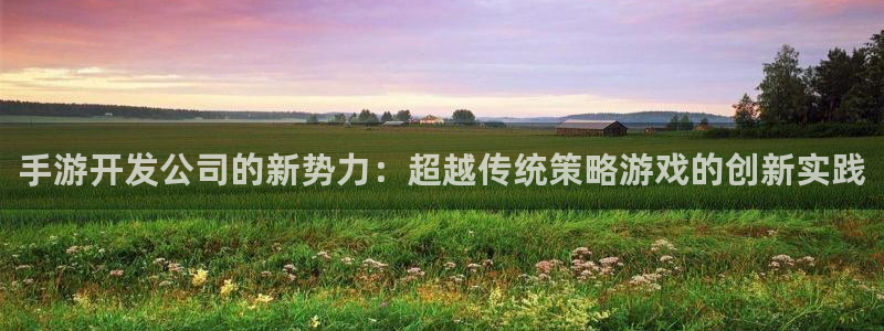 28大神苹果版下载：手游开发公司的新势力：超越传统策略游戏的
