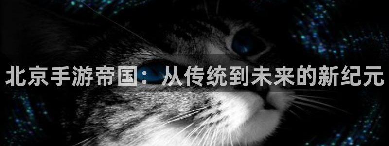 大神28杀最厉害三个组合是谁：北京手游帝国：从传统到未来的新
