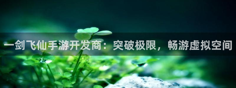 大神28专业版