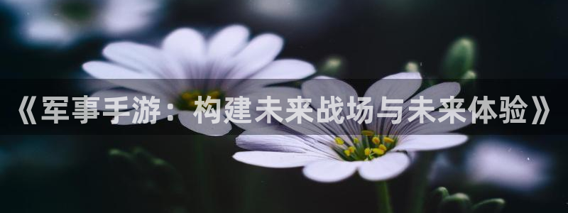 28大神预测软件北京：《军事手游：构建未来战场与未来体验》