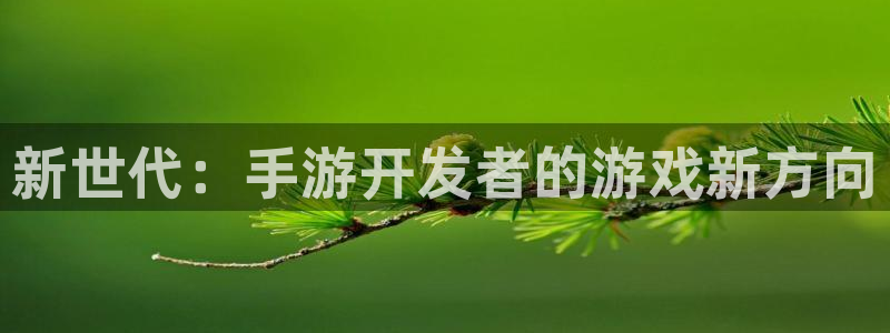 大神吧pc28在线预测网：新世代：手游开发者的游戏新方向