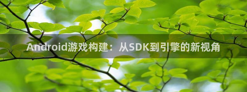 大神28加拿大开奖：Android游戏构建：从SDK到引擎的