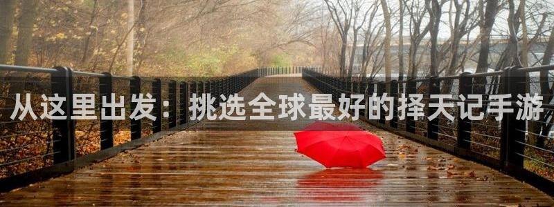 大神28app：从这里出发：挑选全球最好的择天记手游