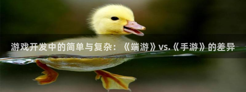 大神28论坛算法：游戏开发中的简单与复杂：《端游》vs.《手