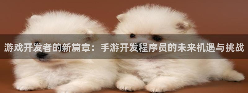 大神28官网开奖结果：游戏开发者的新篇章：手游开发程序员的未